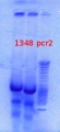 Thumbnail for version as of 15:56, 7 September 2012