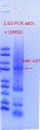 Thumbnail for version as of 17:27, 30 October 2018