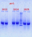 Thumbnail for version as of 15:45, 1 February 2013