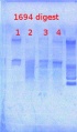 Thumbnail for version as of 12:46, 21 March 2013