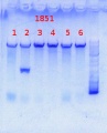Thumbnail for version as of 12:31, 25 September 2013