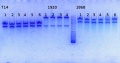 Thumbnail for version as of 13:46, 4 November 2013