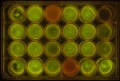 Thumbnail for version as of 16:36, 15 November 2014