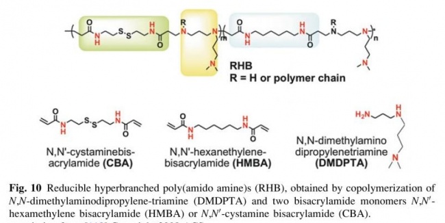 Reducible hyperbranched poly amido amine)2.jpg