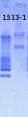 Thumbnail for version as of 14:42, 22 March 2013