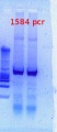 Thumbnail for version as of 14:18, 15 January 2013
