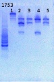 Thumbnail for version as of 11:52, 31 May 2013