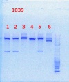 Thumbnail for version as of 09:15, 18 September 2013