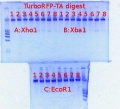 Thumbnail for version as of 14:13, 22 March 2012