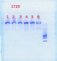 Thumbnail for version as of 14:23, 29 July 2013
