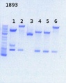 Thumbnail for version as of 15:08, 1 November 2013