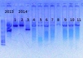 Thumbnail for version as of 15:31, 14 February 2014