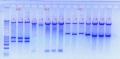 Thumbnail for version as of 15:55, 3 October 2011