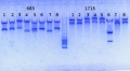 Thumbnail for version as of 15:52, 25 October 2013