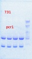 Thumbnail for version as of 11:00, 28 March 2014