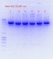 Thumbnail for version as of 14:43, 7 July 2017