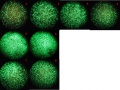 Thumbnail for version as of 17:58, 4 November 2011