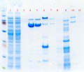 Thumbnail for version as of 16:03, 2 February 2012