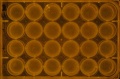 Thumbnail for version as of 11:11, 30 June 2016