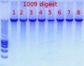 Thumbnail for version as of 09:39, 22 February 2012