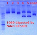 Thumbnail for version as of 15:11, 4 April 2012