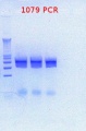 Thumbnail for version as of 15:47, 10 April 2012