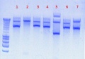 Thumbnail for version as of 11:45, 19 July 2012