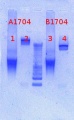 Thumbnail for version as of 09:57, 10 April 2013