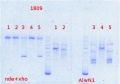 Thumbnail for version as of 11:00, 7 August 2013