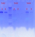Thumbnail for version as of 15:15, 30 January 2012