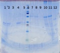 Thumbnail for version as of 17:16, 28 May 2014