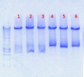 Thumbnail for version as of 16:51, 17 August 2012
