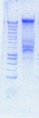 Thumbnail for version as of 10:52, 21 August 2012