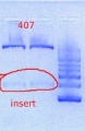 Thumbnail for version as of 15:58, 23 May 2012