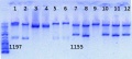Thumbnail for version as of 13:58, 11 June 2012