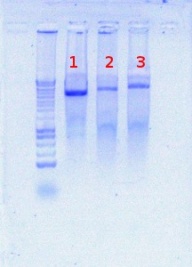 1256 digest 7-23-2012.JPG