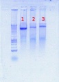Thumbnail for version as of 13:28, 23 July 2012
