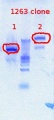 Thumbnail for version as of 14:39, 12 July 2012