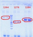 Thumbnail for version as of 09:46, 27 July 2012