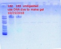 Thumbnail for version as of 12:47, 27 October 2018