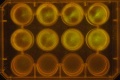 Thumbnail for version as of 13:20, 7 January 2012