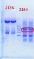 Thumbnail for version as of 14:17, 7 May 2014