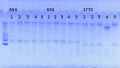 Thumbnail for version as of 11:17, 3 July 2013