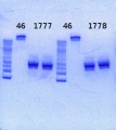 Thumbnail for version as of 16:58, 3 July 2013
