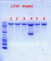 Thumbnail for version as of 13:05, 22 May 2012