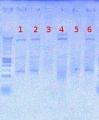 Thumbnail for version as of 13:13, 16 August 2012