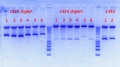 Thumbnail for version as of 15:23, 25 October 2012