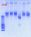 Thumbnail for version as of 16:15, 4 February 2013