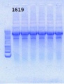 Thumbnail for version as of 11:23, 3 July 2013