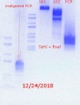 Thumbnail for version as of 23:41, 24 December 2018
